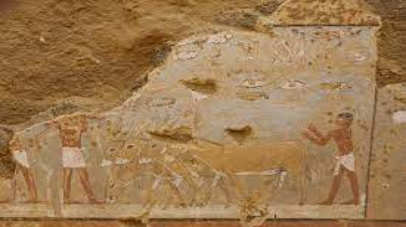 تفاصيل الكشف الأثرى الجديد بمنطفة دهشور في مصر.. يعود لعصر الدولة القديمة